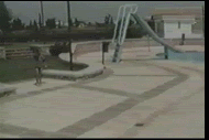 1206392618190.gif