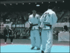 47f9b687f3b653c7bf79c1831872.gif