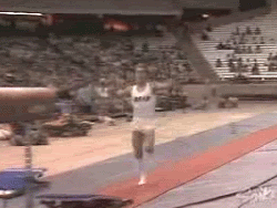 ani.gif