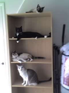 IMG103C.jpg