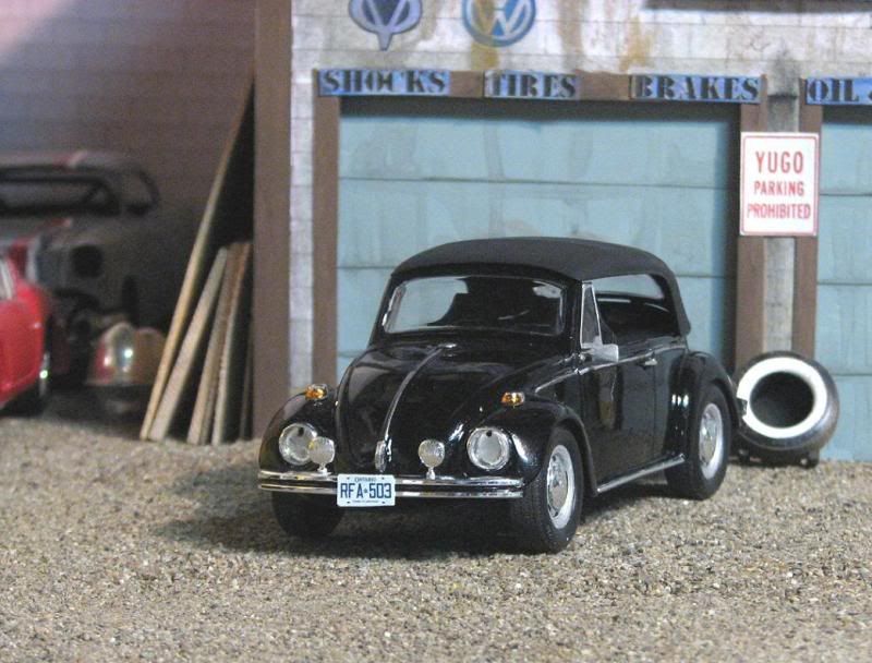 Beetle009.jpg