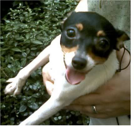 Image hosted by Photobucket.com