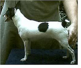 Image hosted by Photobucket.com