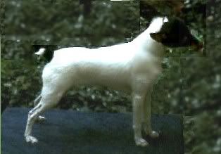 Image hosted by Photobucket.com