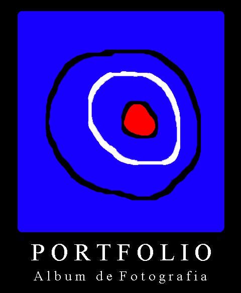 Visite o Portfolio