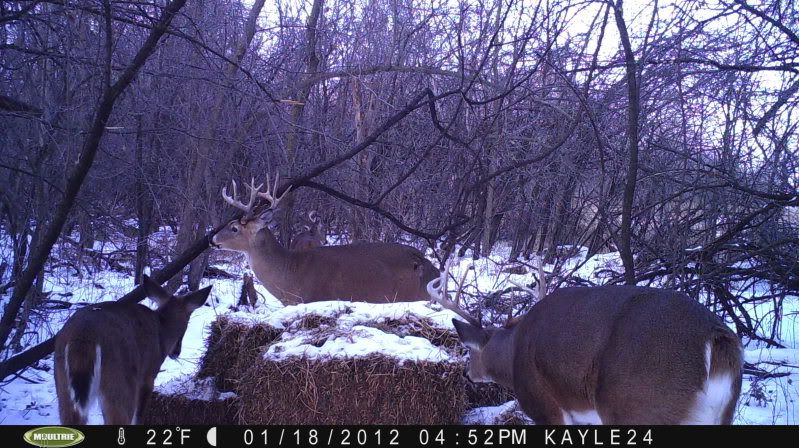 BigBucks.jpg