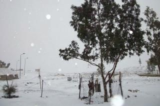 http://img.photobucket.com/albums/v385/big-graham/Snow-Egypt4_zps253212c6.jpg