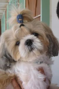 Image hosted by Photobucket.com