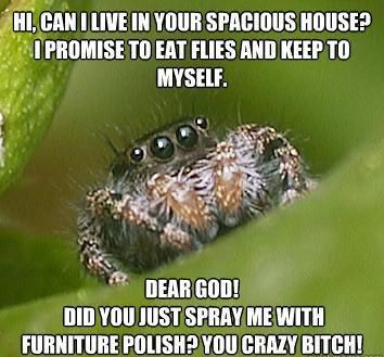  photo misunderstood-spider-meme-furniture-polish_zpskly81o4x.jpg