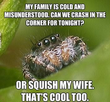  photo misunderstood-spider-meme-squish-wife_zpsiieqf4wt.jpg