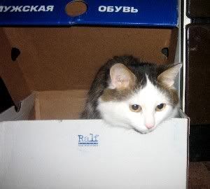 Photobucket - Video and Image Hosting