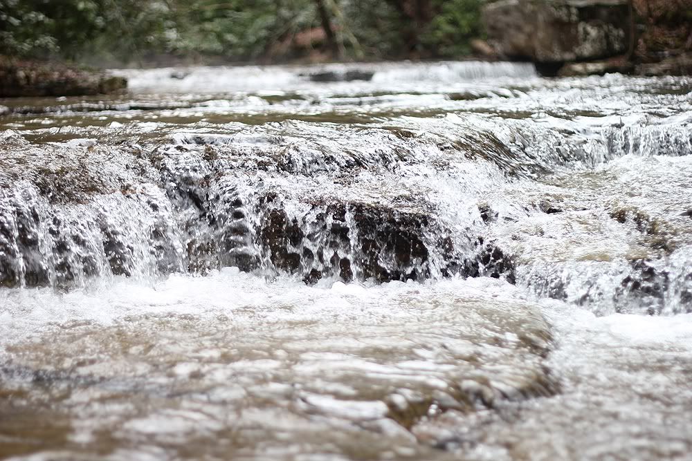 IMAGE: http://img.photobucket.com/albums/v387/04yellowf150/smaller2.jpg