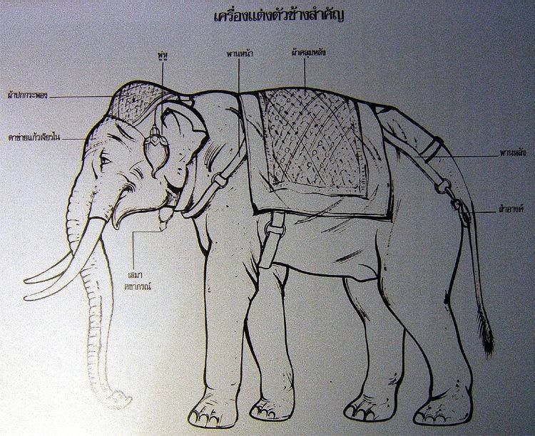 รูปภาพ