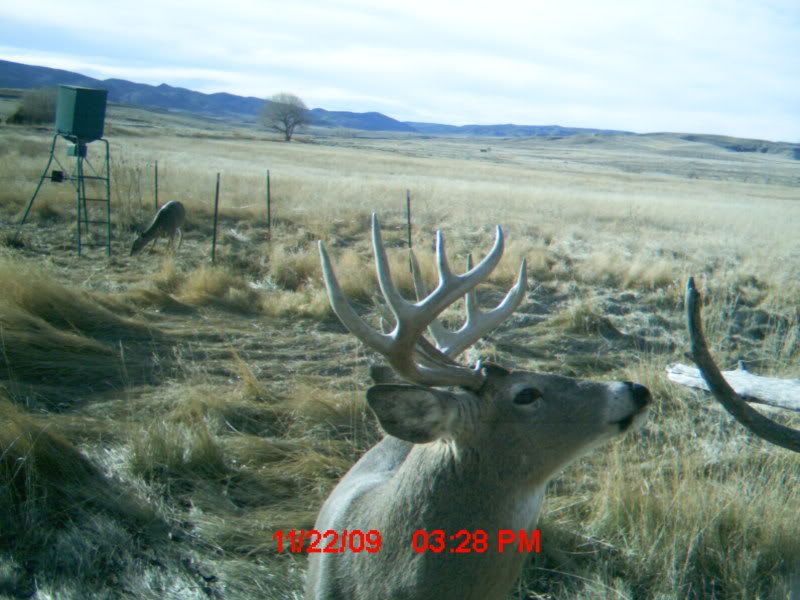 2009_1123trailcam0003.jpg