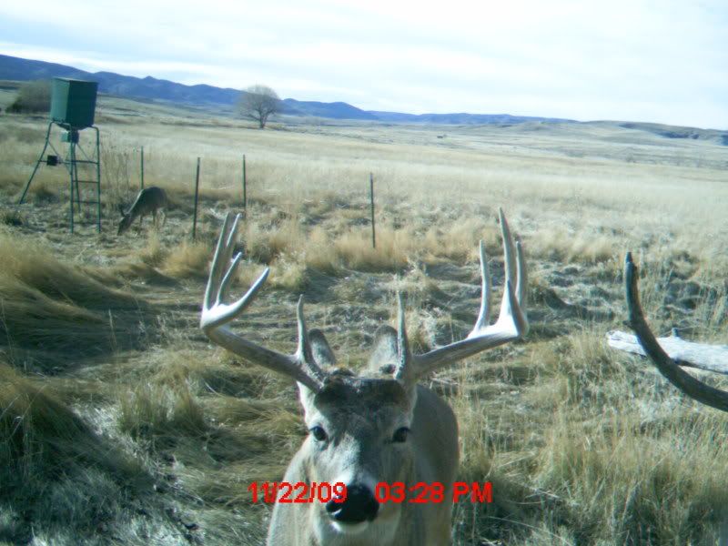 2009_1123trailcam0004.jpg