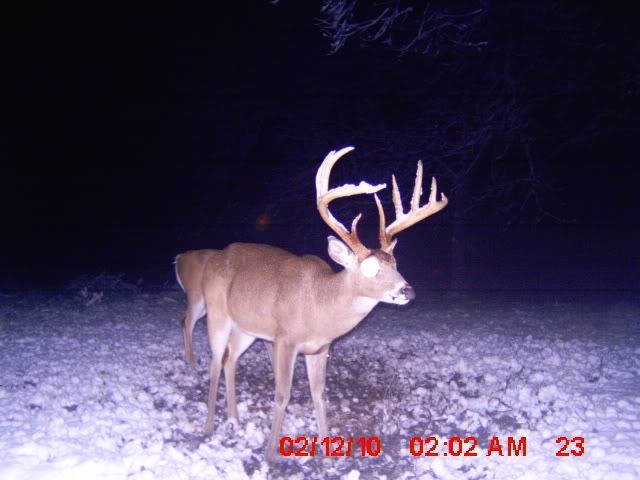 TrailCam2-12-10053.jpg
