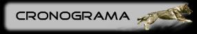 Cronograma