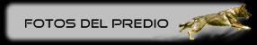 Fotos del Predio
