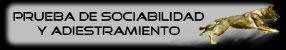 Prueba de Sociabilidad y Adiestramiento