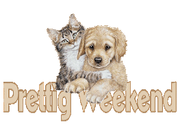 [img width=260 height=182]http://img.photobucket.com/albums/v389/Troetelbeertje/prettigweekend.gif[/img]
