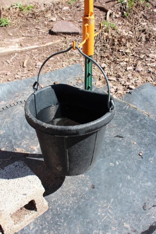 Homemade mineral feeder - for  Tango (and anyone else) - Goats