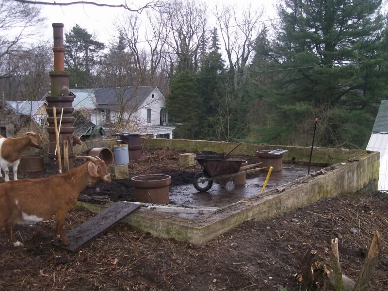 What are you getting done on the "farm"? - Homesteading Questions