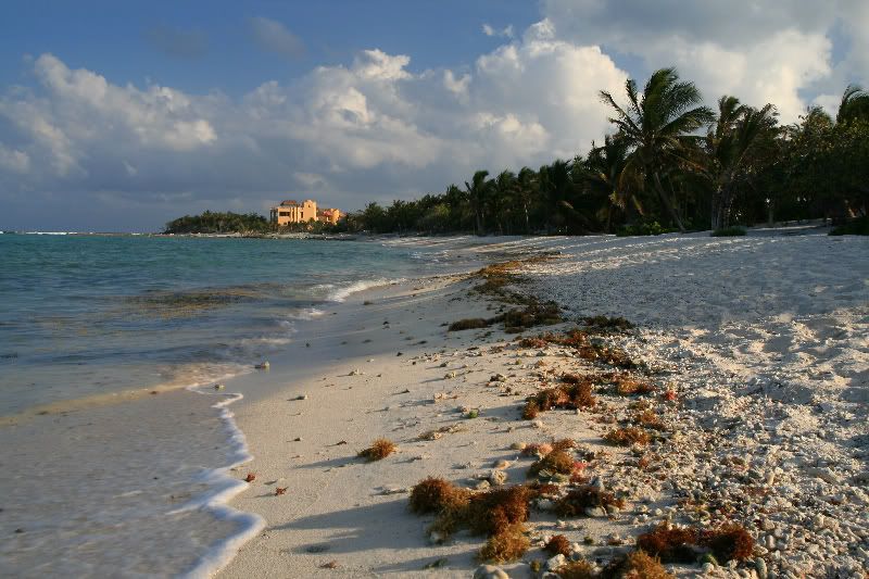 IMAGE: http://img.photobucket.com/albums/v389/dino8031/2008_04_18_5334resize.jpg