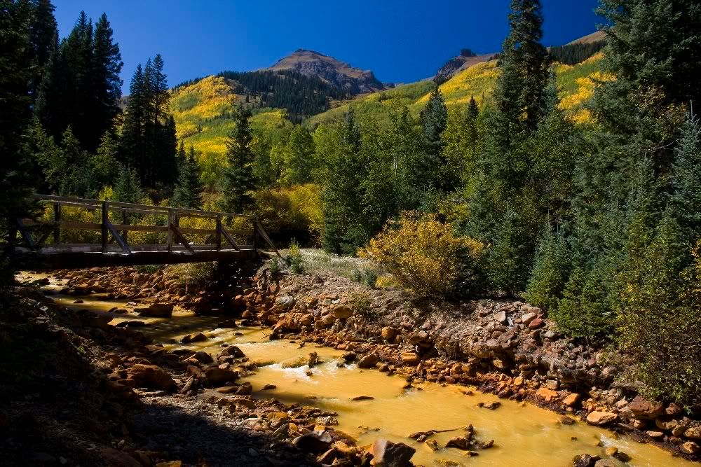 IMAGE: http://img.photobucket.com/albums/v389/dino8031/img_9662cs3rr.jpg