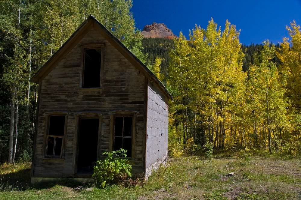 IMAGE: http://img.photobucket.com/albums/v389/dino8031/img_9676cs3rr.jpg