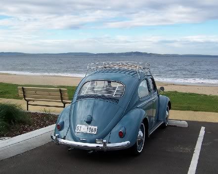 http://img.photobucket.com/albums/v389/jeremyfish/blueatblackmansbay.jpg