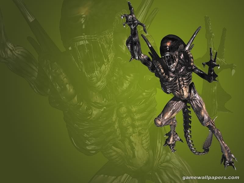 wallpaper_alien_resurrection_07_800.jpg