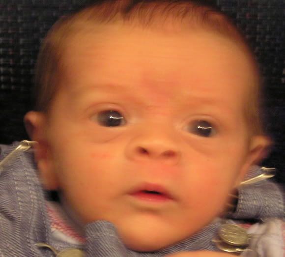 1monthold