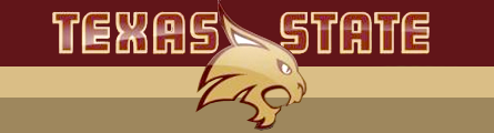 texas-state-banner.png