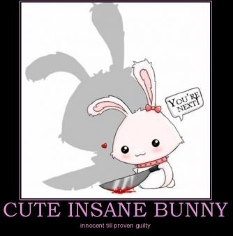 insanebunny.jpg~original