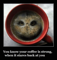 strongcoffee_zps1c4swjwl.gif~original