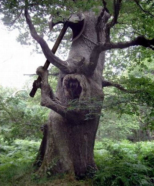 monster_tree_zpsb07cbc0e.jpg