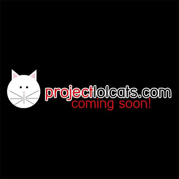 ProjectCatsFORUM.jpg