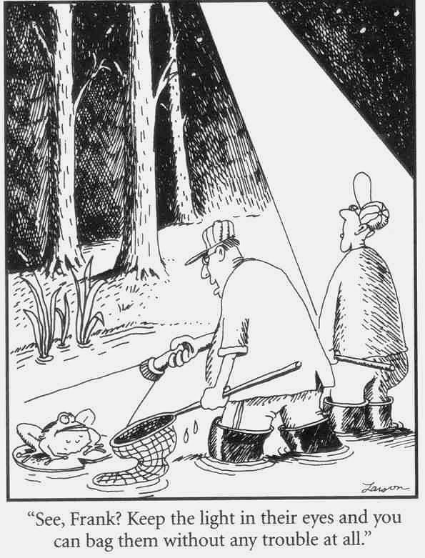 Farside.jpg