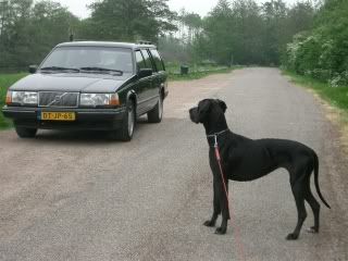 [Afbeelding: CIMG2006.jpg]