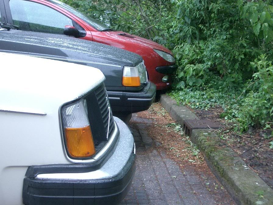 [Afbeelding: CIMG2022.jpg]