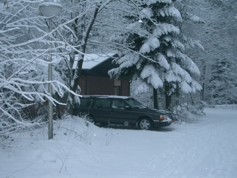 [Afbeelding: CIMG3128.jpg]