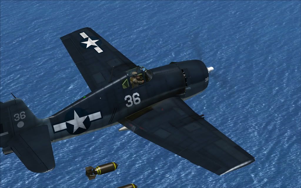 hellcat5.jpg