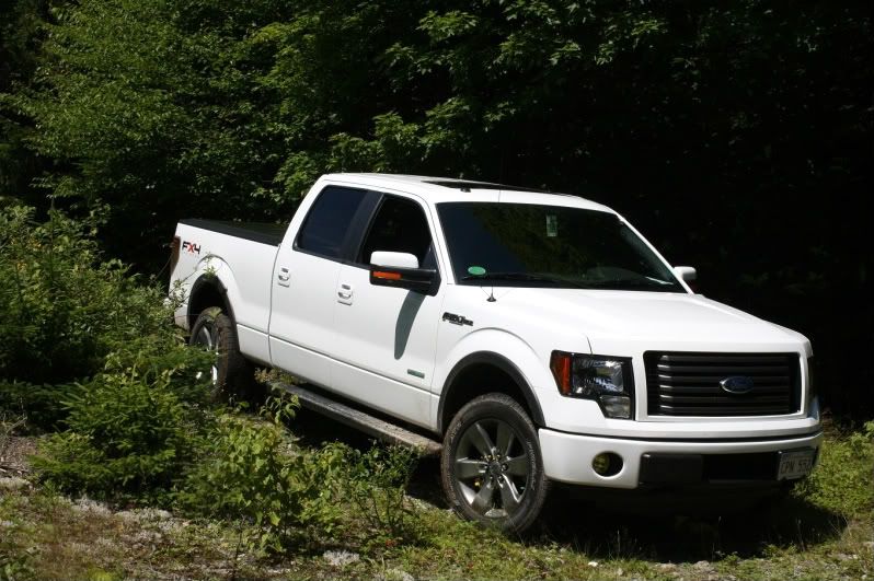 Rear suspension squeak's over bumps ideas? Ford F150 Forum