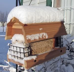 Our new bird feeder