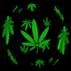 animated_marijuana_spinning1.gif