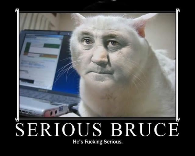 serious_bruce.jpg