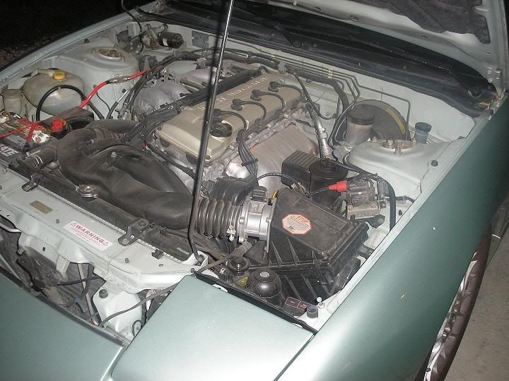 http://img.photobucket.com/albums/v395/Armedmadillo/enginebay0041.jpg