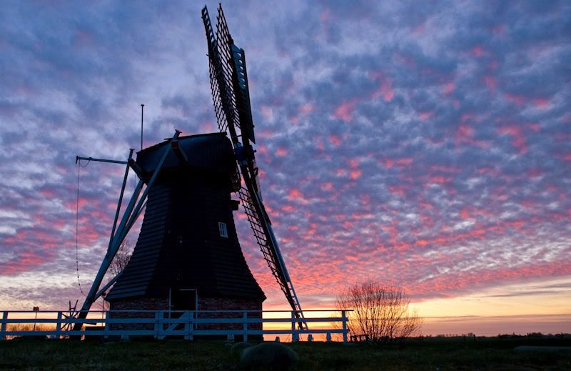 Fotografie