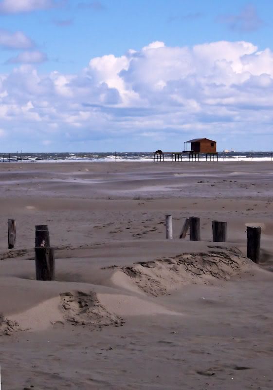 Fotografie