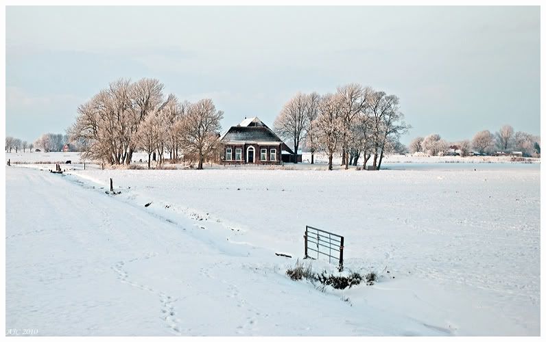 Fotografie